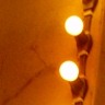 diwali lights